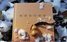 解密2:是什么让他们为一本书尖叫……